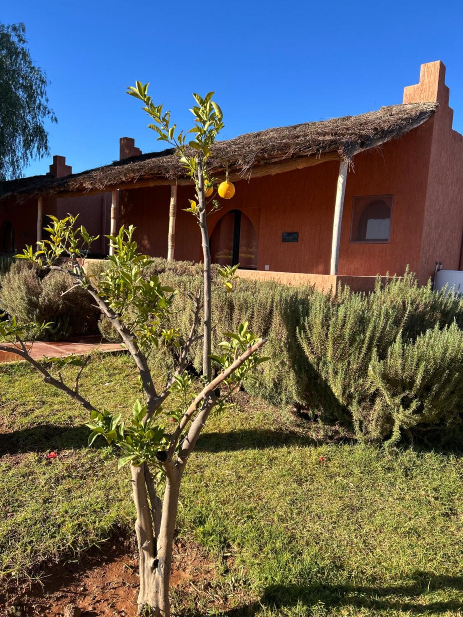 Hotel Les Orangers De L'Ourika Douar Akkara Exteriér fotografie