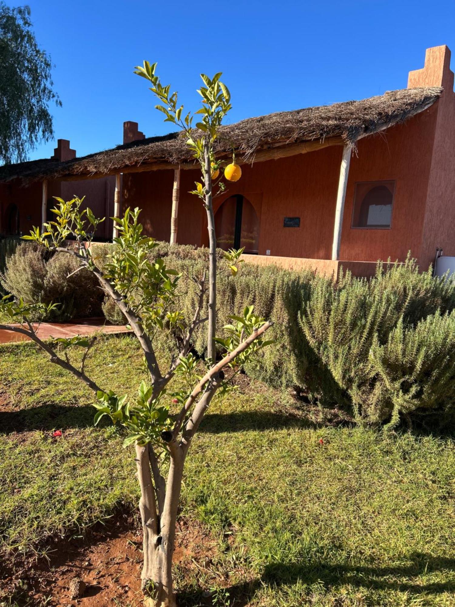 Hotel Les Orangers De L'Ourika Douar Akkara Exteriér fotografie